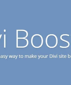 Divi Booster v4.4.9完美破解Divi主题高级自定义插件下载