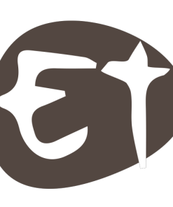 Electerm(跨平台ssh远程连接工具)