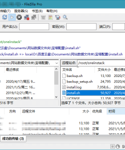 FileZilla PRO v3.69.0 FPT工具