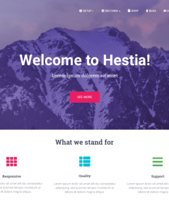 Hestia Pro v3.1.1完美破解付费多功能现代设计主题下载