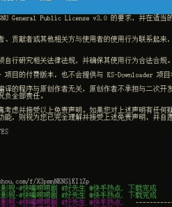 KS-Downloader 快手视频下载工具v1.1