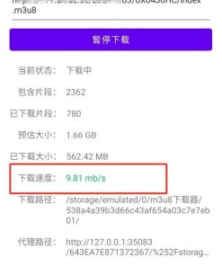M3U8多线程下载器支持断点续传边下边播