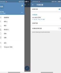 Nagram V9.3.3自带魔法第三方电报