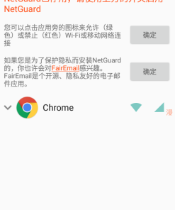 NetGuard网络护卫v2.324 专业版