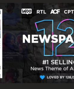 Newspaper v12.6.5完美破解付费博客主题下载