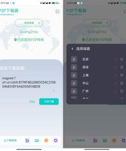 P2P下载器v1.4.6磁力下载不限速