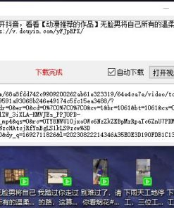 PC抖音视频无水印解析下载一键秒下