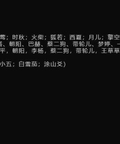 PC番茄畅听下载器批量下载有声书籍工具