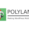 Polylang Pro v3.5.4完美破解付费Wordpress多语言翻译插件下载