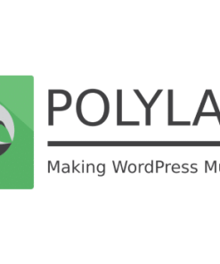 Polylang Pro v3.5.4完美破解付费Wordpress多语言翻译插件下载