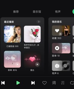 QQ音乐车载车机版v2.0.4.10纯净版
