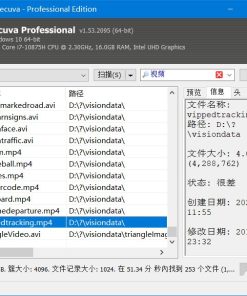 Recuva数据恢复v1.53.2096中文注册版