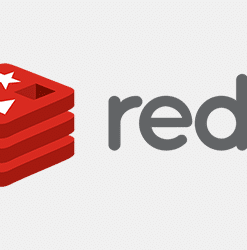 Redis Object Cache Pro v1.20.1 完美破解付费WordPress对象缓存插件下载