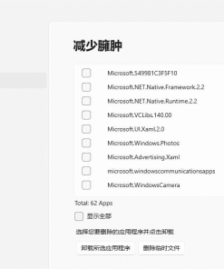 RyTuneX 优化神器v0.9.1