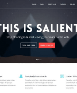 Salient v16.2.0完美破解付费下一代专业级主题下载