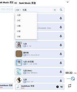 SeekMusic 觅音V1.39 清爽版