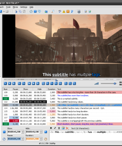Subtitle Workshop字幕编辑v6.3.4