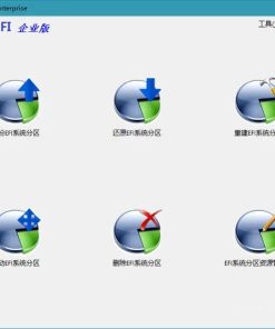 Hasleo EasyUEFI v5.5 EFI/UEFI启动项管理企业版