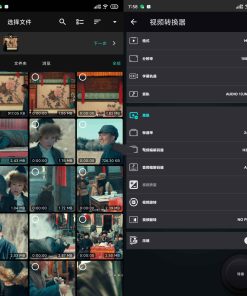Video v0.1.8全格式视频转换解锁汉化版