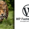 WP Fastest Cache Premium v1.7.0完美破解WordPress静态化缓存插件下载