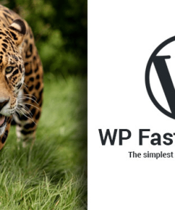 WP Fastest Cache Premium v1.7.0完美破解WordPress静态化缓存插件下载