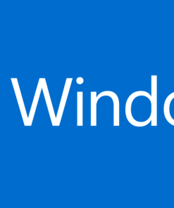 Win10 LTSC 2024 Build 26100.3624小修精简版