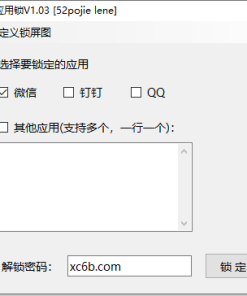 WinAPPLock应用锁v1.03