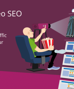 Yoast Video SEO v14.8完美破解WordPress SEO插件下载