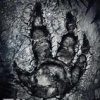 《进化单机版》免安装简体中文绿色版
