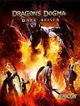 《龙之信条：黑暗崛起》免DVD光盘版