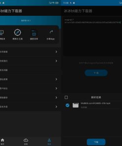 冰冰bt磁力下载器v1.2.0.4解析下载