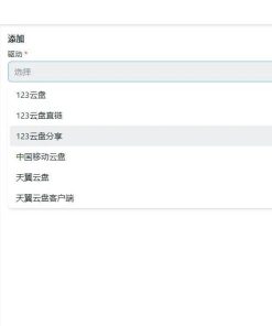 基于Alist开发的网盘播放器小幸运2 v2.0.5