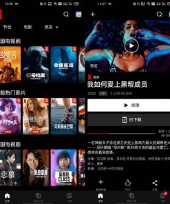 奈飞Netflix v8.70.0 Build1250524正式版