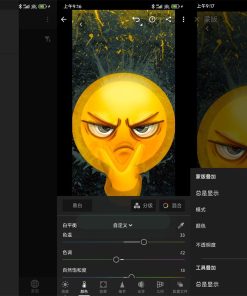 安卓Lightroom调色软件v8.5.0高级版