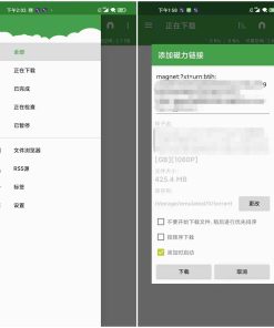 安卓uTorrent Pro 种子下载器v8.2.18专业版