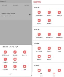 安卓格式大师格式转换v1.5.9高级版
