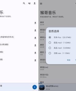安卓猴哥音乐V2.0.0清爽版