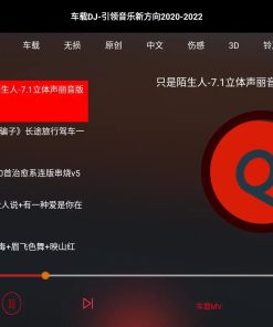 安卓车载DJ v1.25-免费车机音乐APP