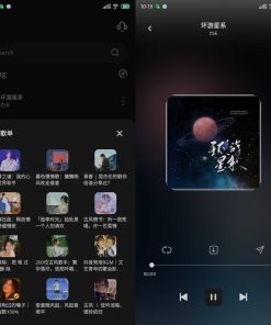 安卡音v2.5漂亮免费的音乐下载器