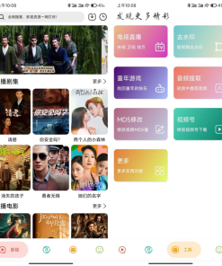 实用大师v1.0.2影视音乐去水印聚合