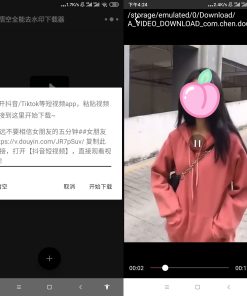 悟空全能去水印下载器v2.11.1绿化版