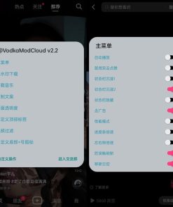 抖音v25.3.0去广告视频水印助手增强版