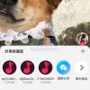 抖音视频v29.0-内置超强模块