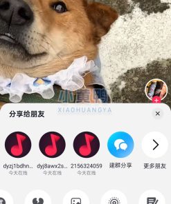 抖音视频v29.0-内置超强模块