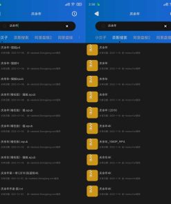搜盘器v1.2.8网盘资源搜索器安卓版