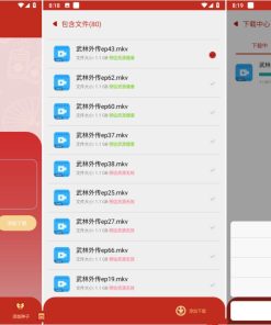 有种下v1.8.0简洁下载工具简洁小巧