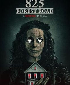 林荫路825号 825 Forest Road (2025)