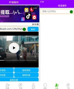柠檬解析支持批量解析快手抖音火山等