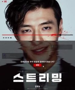 流播 스트리밍 (2025)