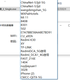 电脑版WIFI历史密码查看器 v2.0 单文件版